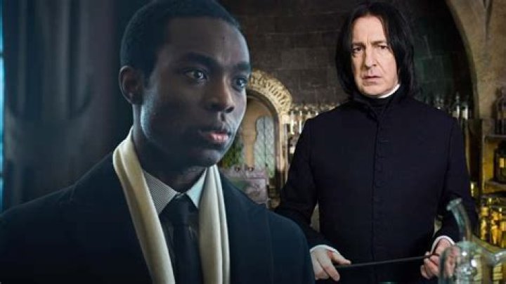 A Closer Look At Her Bio, Age, And Harry Potter Shows