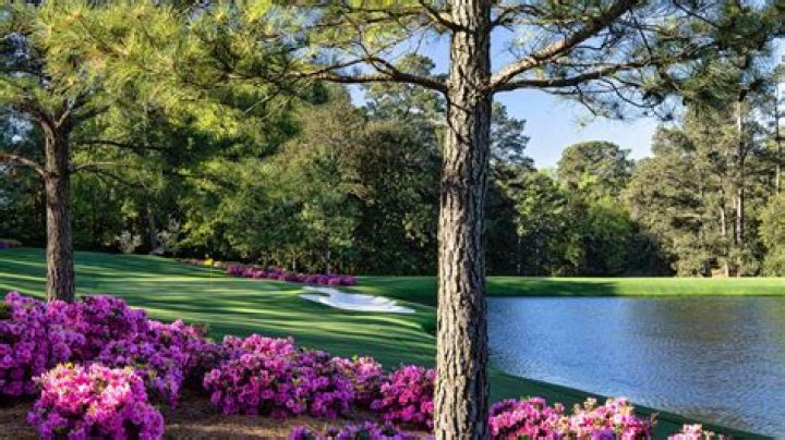 A Closer Look At The Golf Pro's Earnings