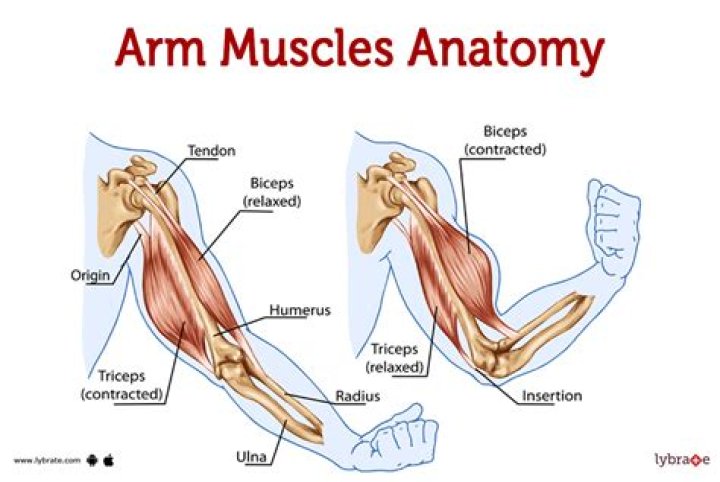 Behind The Muscles And Charisma