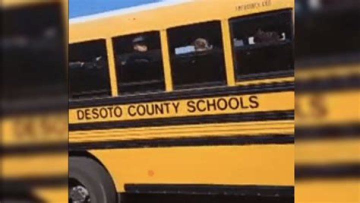 DeSoto County Bus Driver video goes viral, sparks outrage online ·