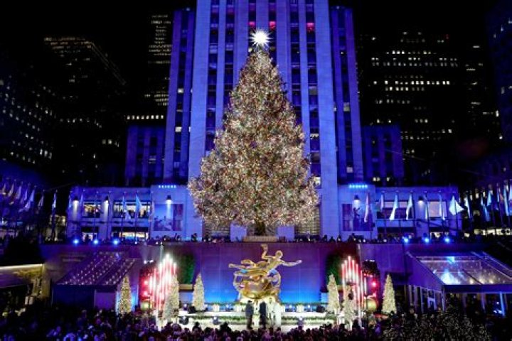 Everything You Need to Know About This Year's Rockefeller Center Christmas Tree