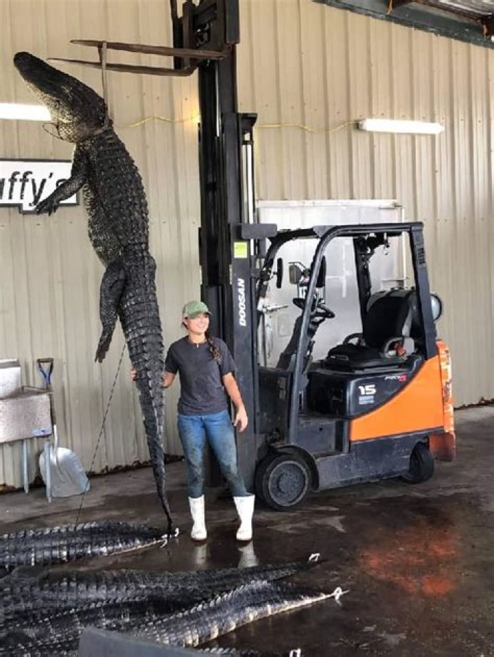 Megalyn Echikunwoke Height, Weight, Net Worth, Age, Birthday, Wikipedia, Who, Nationality, Biography