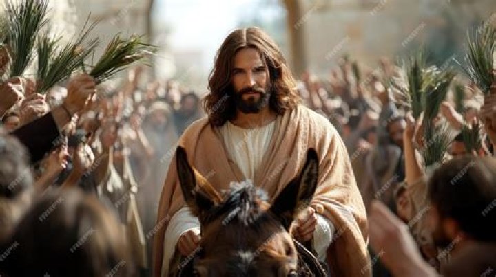 Unveiling The Legacy: Amanda Serrano's Triumphant Journey