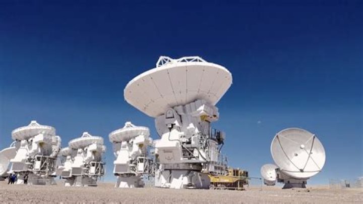 Unveiling The Secrets Of Tamra Judge: Insights And Discoveries