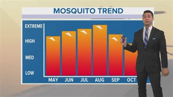 What is mosquito season in Aruba?