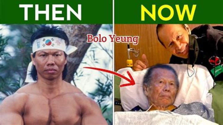 Where Is Bolo Yeung Now? A Glance at His Life