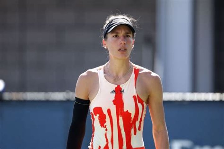 Who Is Andrea Petkovic Boyfriend Jesse Kotansky? The German Tennis Player Is Retiring After The US O