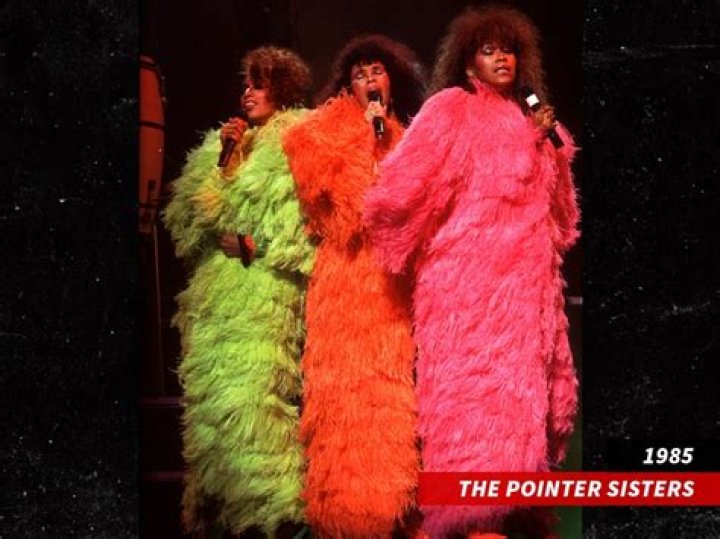Wiki, Bio, Age, Pointer Sisters, Death, Musician, Net ·